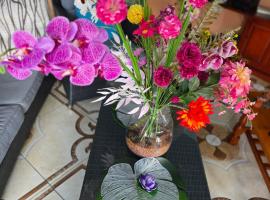 Versha's paradise，Portsmouth的飯店