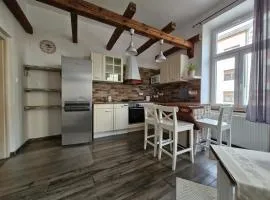 Apartmán U řeky Resslova