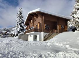 Chalet Beau-Site Anzère, hotel i Anzère