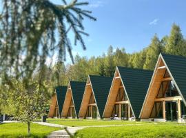 A Frames By Pensiunea Merișor, hotel di Rachitele