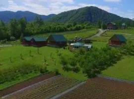 Eco village & resort Coric Delux bungalow