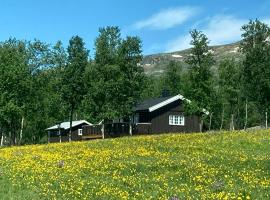 Simple Mountain Cabin Near Vinstra, hotel em Graupe