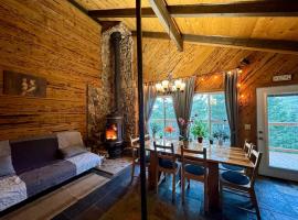 Mountain Cabin at Heavenly, hotel en Stateline