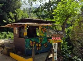 Hostal Las Mariposas Minca