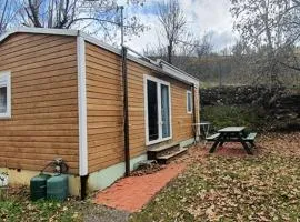 Mobil home 3 chambres avec terrasse - API-1-52-990