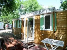 Mobil-home confortable avec terrasse à Estavar - API-1-52-1000