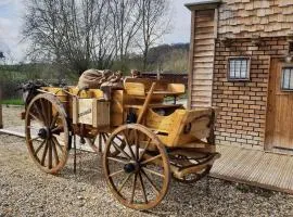 Chalet 35m² avec terrasse à Cessières - API-1-52-1026