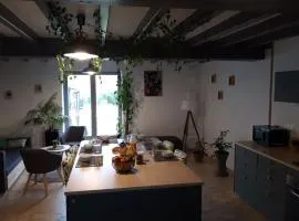 Gîte spacieux avec terrasse pour 6 personnes - API-1-52-1112