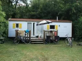 Mobil-home spacieux avec terrasse – 6 personnes - API-1-52-1216