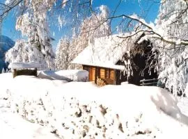 Ferienhütte Windlegern