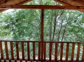 Cabaña en el Bosque de San José del Pacifico 2, Hotel in El Pacífico