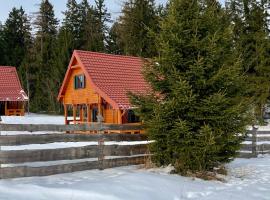 Okno na las, chalet i Polanica-Zdr&oacute;j