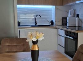 Apartment Alina Istocno Sarajevo with private garage Lukavica، فندق في Lukavica