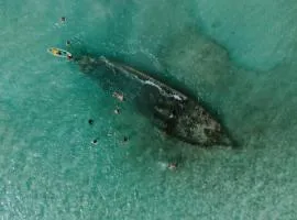 Darocotan Shipwreck Camping