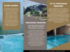 Pensiunea Merişor、ラキツェレのホテル