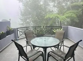 Wang's Haven SilverparkResort Walk down 15 steps