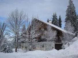 Chalet Yarelle