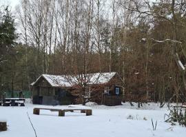 Dom Pod Brzozami Lipinki Bory Tucholskie basen - psy, koty mile widziane!, hotel en Lipinki