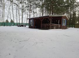 Leśny Zakątek Lipinki Bory Tucholskie - sauna, hotel en Lipinki