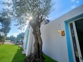 Il Giardino delle Fate