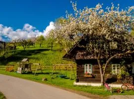 Haunzwickl Ferienhaus mit Sauna
