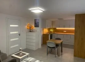 Mieszkanie salon z otwartą kuchnią