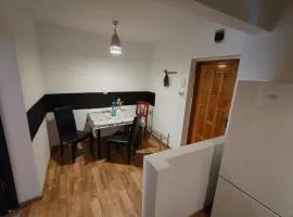 Ultracentral P-ta Trandafirilor 2 camere