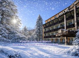 SPA Hotel Jawor, golfhotel in Jaworze