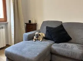 Apartment near the historic center and the hospital