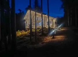 Holiday Home Villa lokinkärki by Interhome