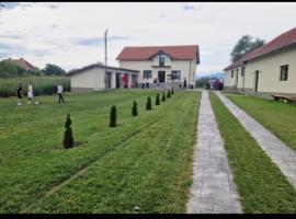 Casa Aida, хотел в Peşteana