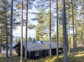 Holiday Home Lofsdalen Fjällnästet by Interhome