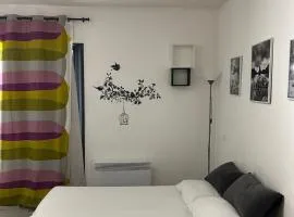 Charmant studio en centre-ville