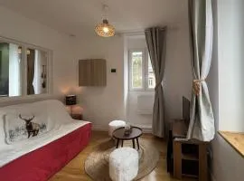 Appartement refait à neuf La Bourboule