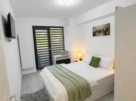 A B V Central Apartament