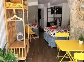 Art Apartments Leiria Historic House
