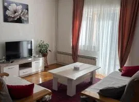APARTMAN Iva