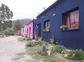 Departamento Gregorio