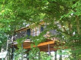 Baumhaus auf dem Kellerberg