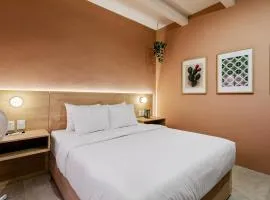 Damián Carmona By Homi Rent