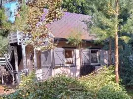 Dom pod lasem koło Pobierowa