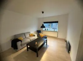 Apartment in the center of Herning