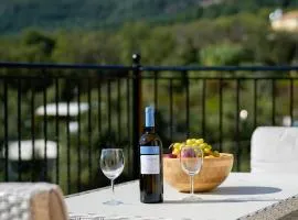Aristidis view