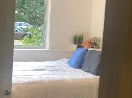 Quiet-comfy 3 bedroom house on a tree lined street in Kitsilano