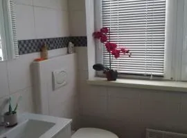 vintage paradise near Kranjska Gora