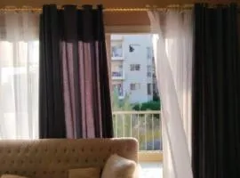 الشيخ زايد في القاهرة