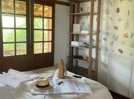 Wiitch Plant hospedagem