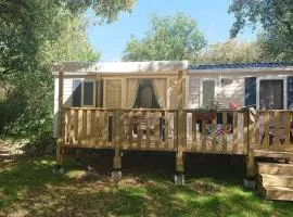 Mobil Home avec Terrasse - 6 Personnes - API-1-52-1432