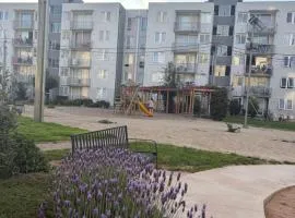 Brisa de los Maitenes