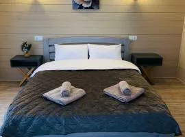 DIM Котедж в Карпатах